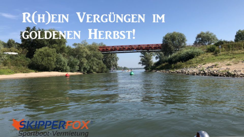 SKIPPERFOX Rhein Vergnügen im Herbst